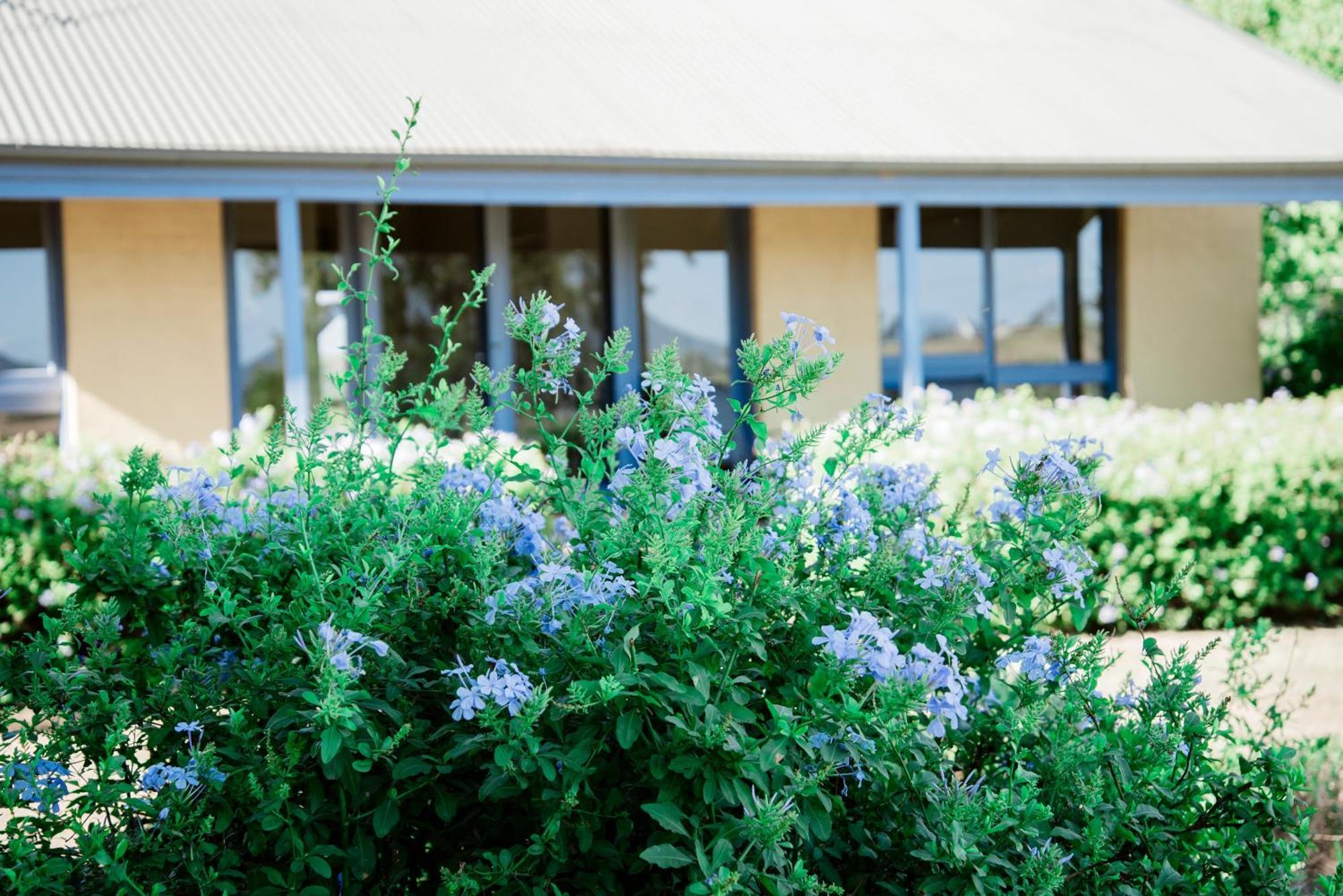 Tranquil Vale Vineyard Luskintyre Exterior foto