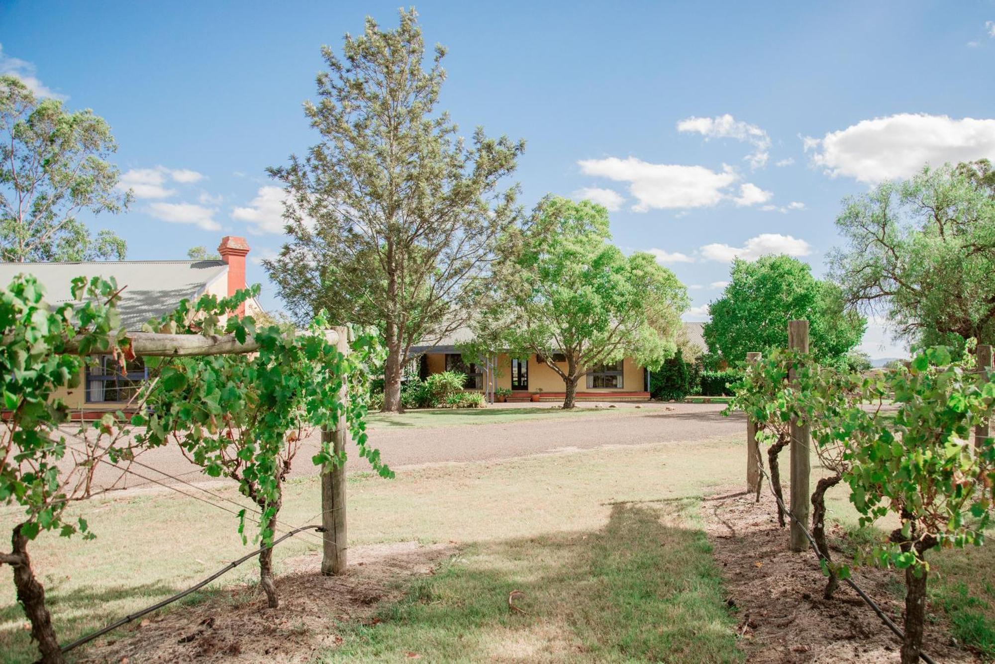 Tranquil Vale Vineyard Luskintyre Exterior foto
