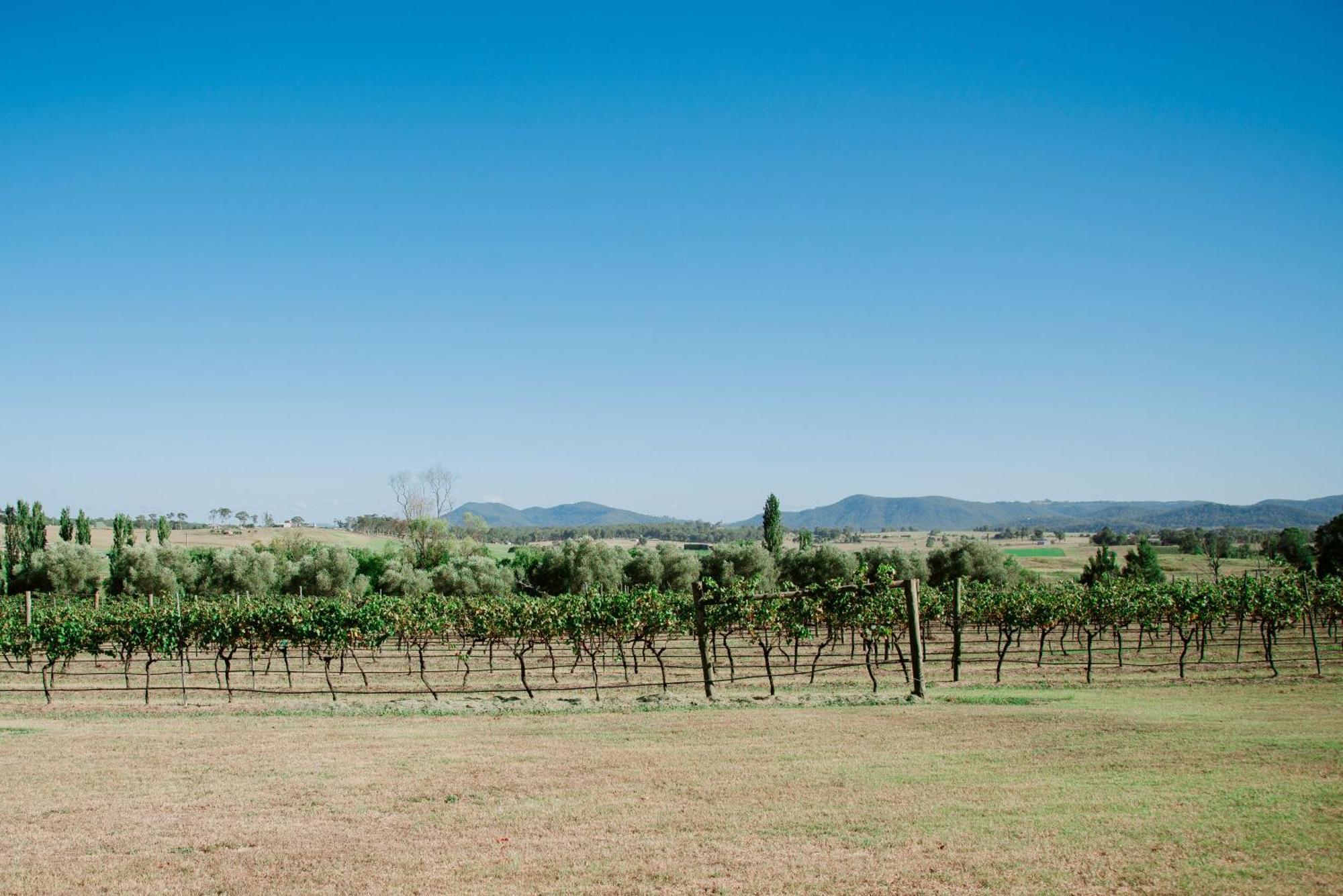 Tranquil Vale Vineyard Luskintyre Exterior foto