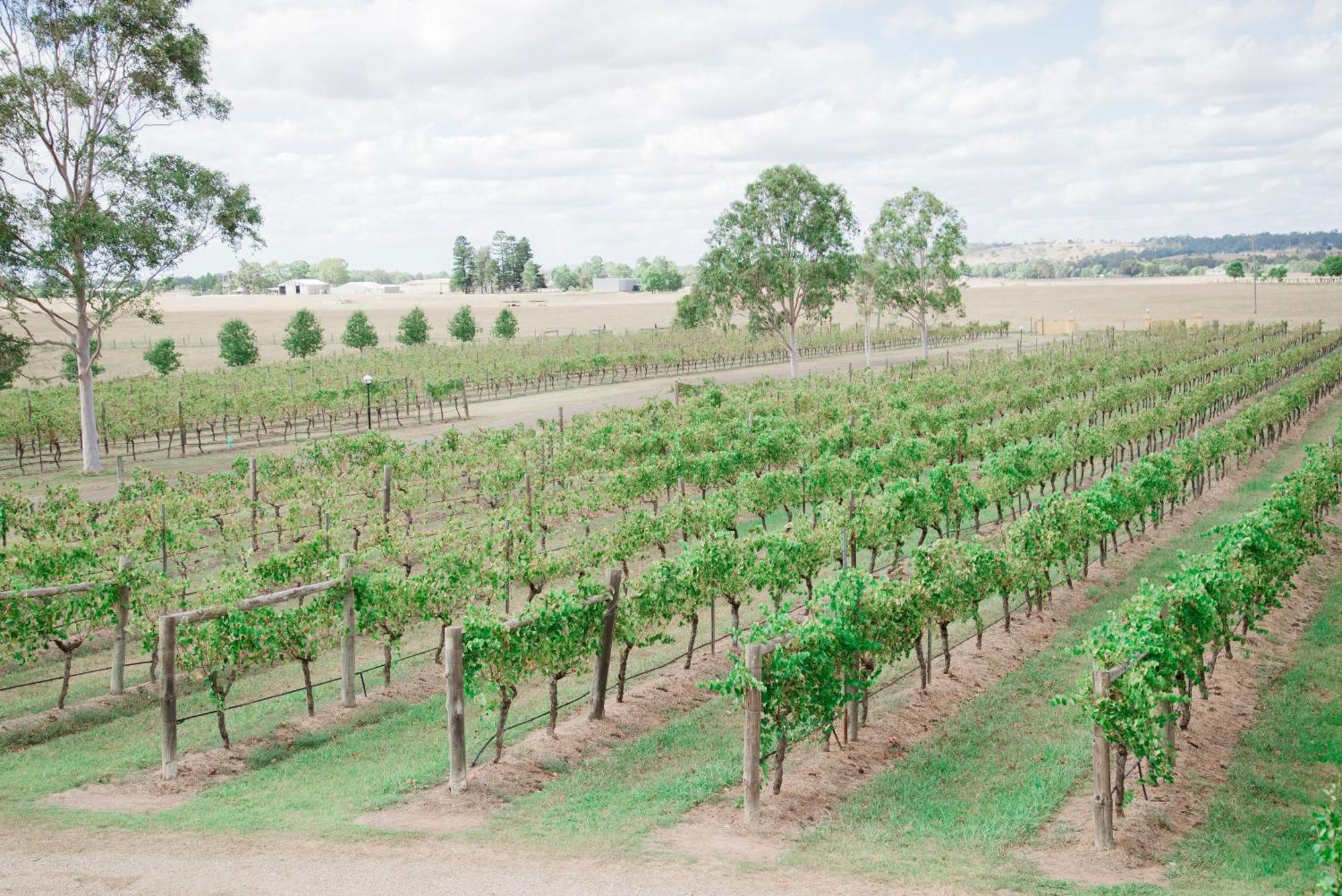 Tranquil Vale Vineyard Luskintyre Exterior foto