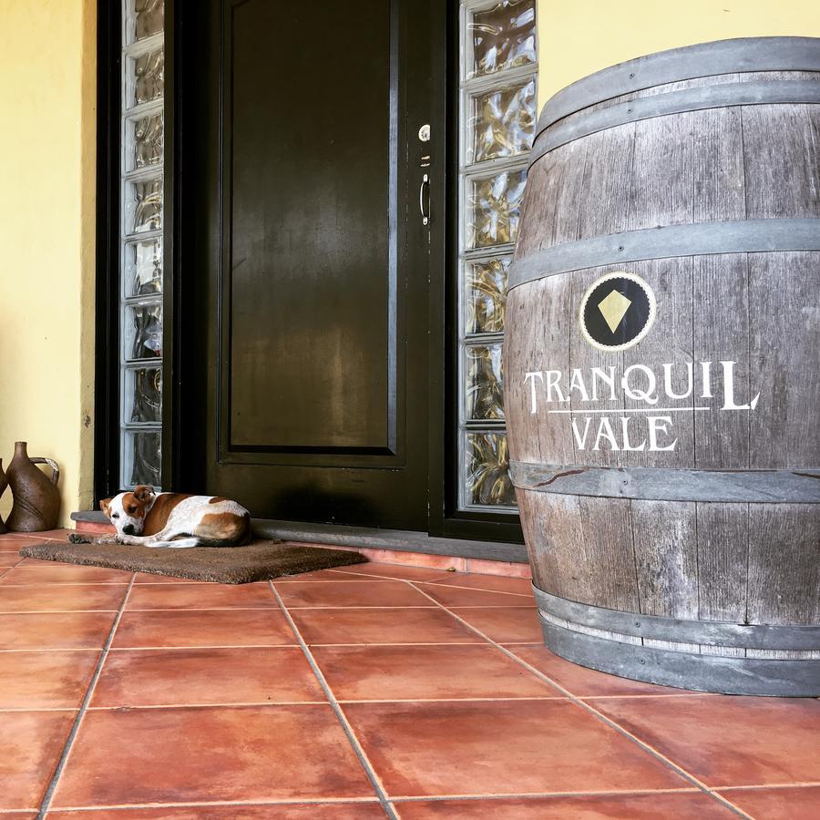 Tranquil Vale Vineyard Luskintyre Exterior foto