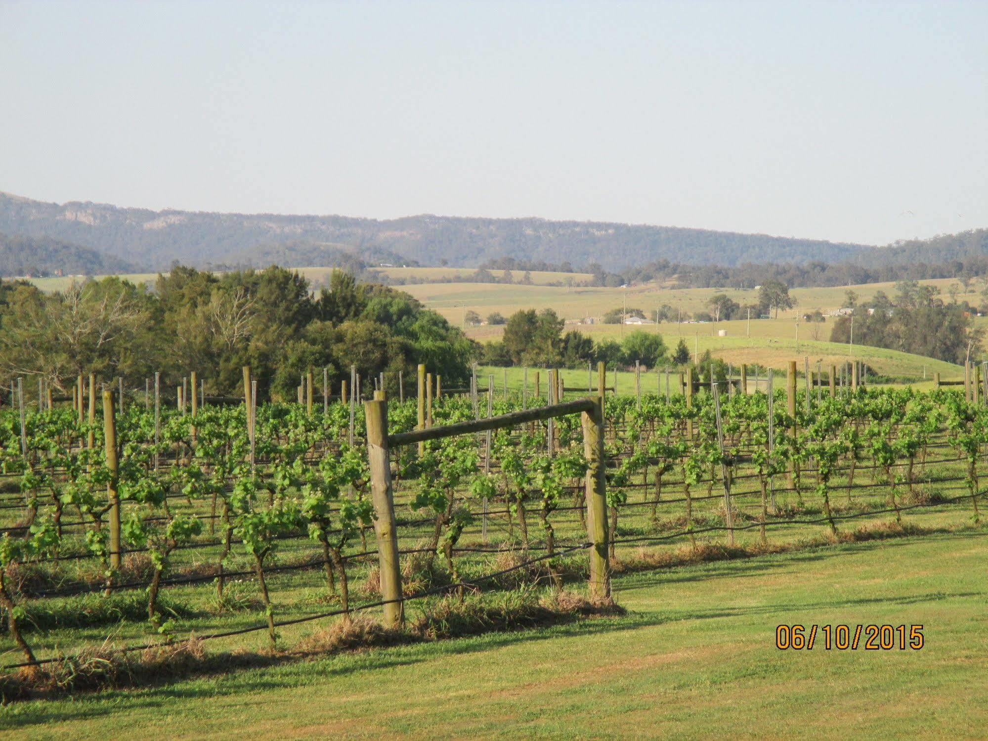 Tranquil Vale Vineyard Luskintyre Exterior foto