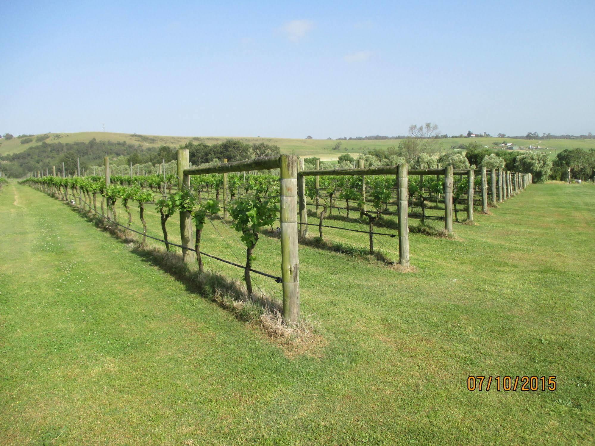 Tranquil Vale Vineyard Luskintyre Exterior foto