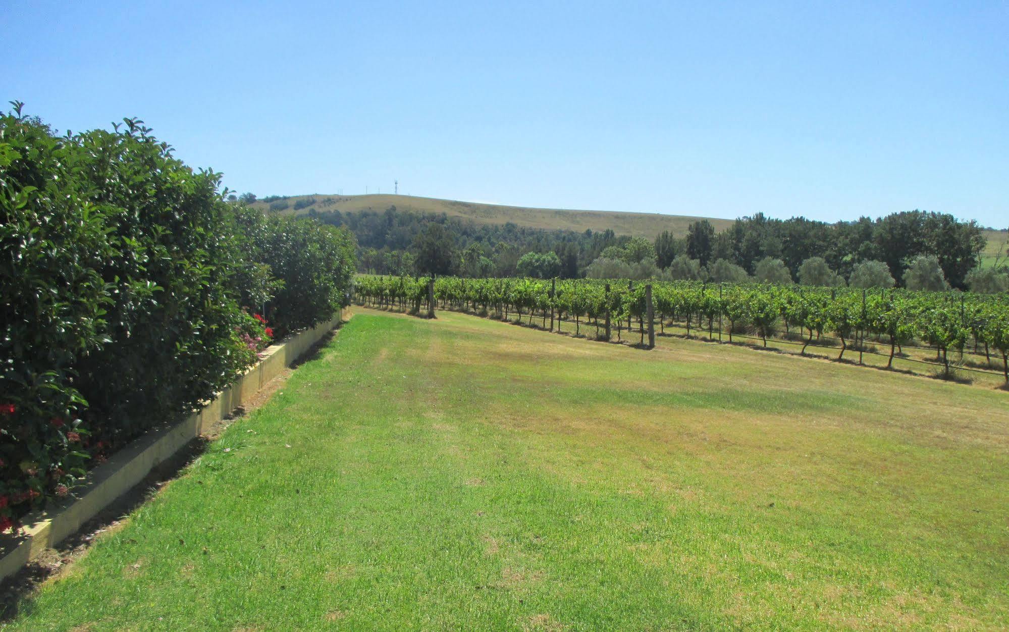 Tranquil Vale Vineyard Luskintyre Exterior foto